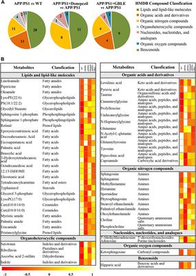 Comprehensive metabolomics and lipidomics profiling uncovering neuroprotective effects of Ginkgo biloba L. leaf extract on Alzheimer’s disease